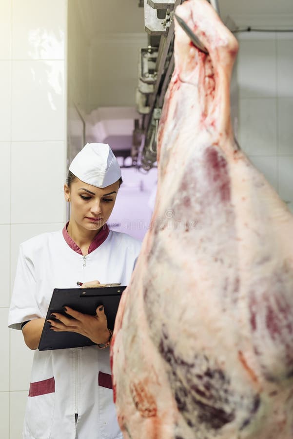 Meat Quality Control in Butchery. Stock Image Image of woman, meat