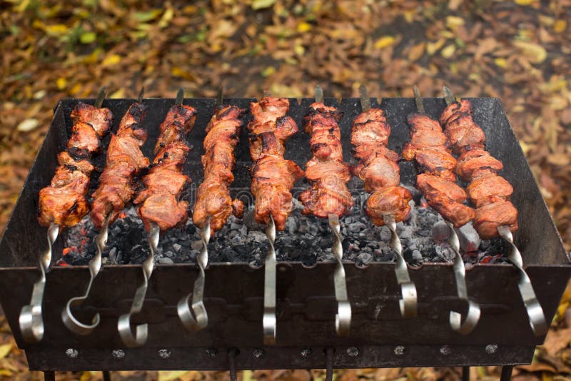 Meat Roasted on Fire Barbecue Kebabs on the Grill. Stock Image Image