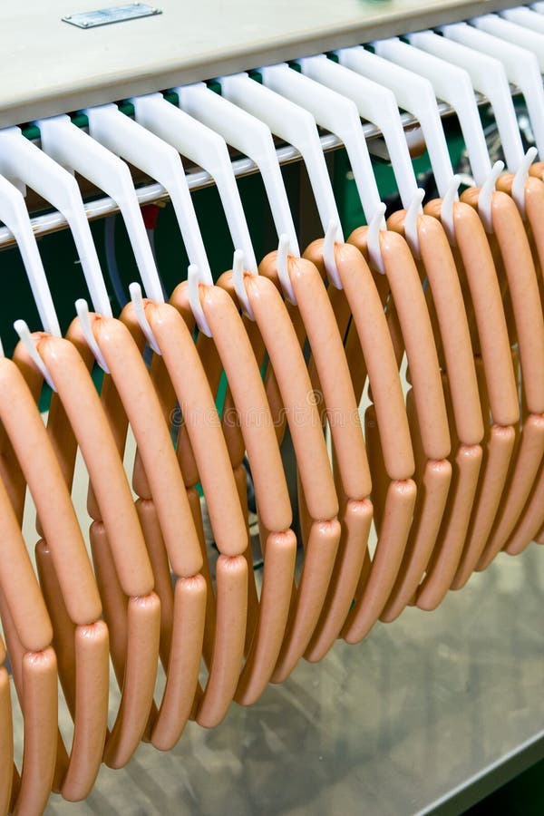 Meat sausages on plastic conveyer in food industry royalty free stock images
