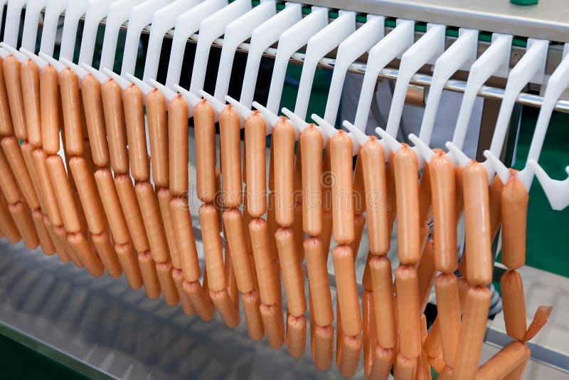 Meat sausages on plastic conveyer in food industry stock photography