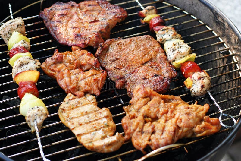Meat and Skewers on the Grill Stock Photo Image of aliment, meat 9164790