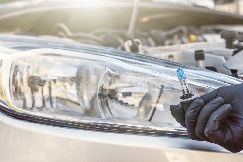 Mechanic Installing Changing Modern Halogen Headlight Bulb Stock Image