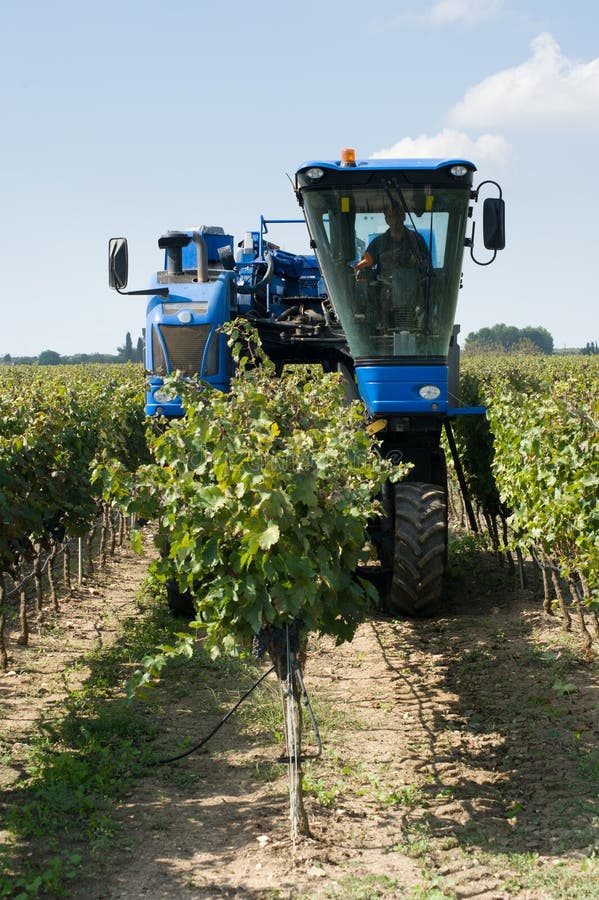 Mechanical harvest stock photo. Image of cultivated, fruit 21654194