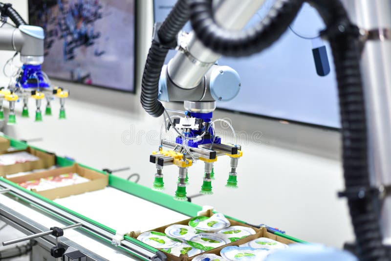 Mechanical robot with artificial intelligence sorts products on the conveyor.