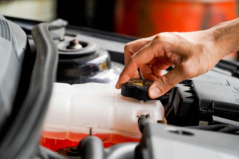 Mechaniker überprüft Den Expansionsbehälter Mit Rosa Frostschutzmittel.  Kühlmittelspiegel Im Kfz-Kühlsystem. Autoteile Stockbild - Bild von  frostschutzmittel, abkühlen: 230919261