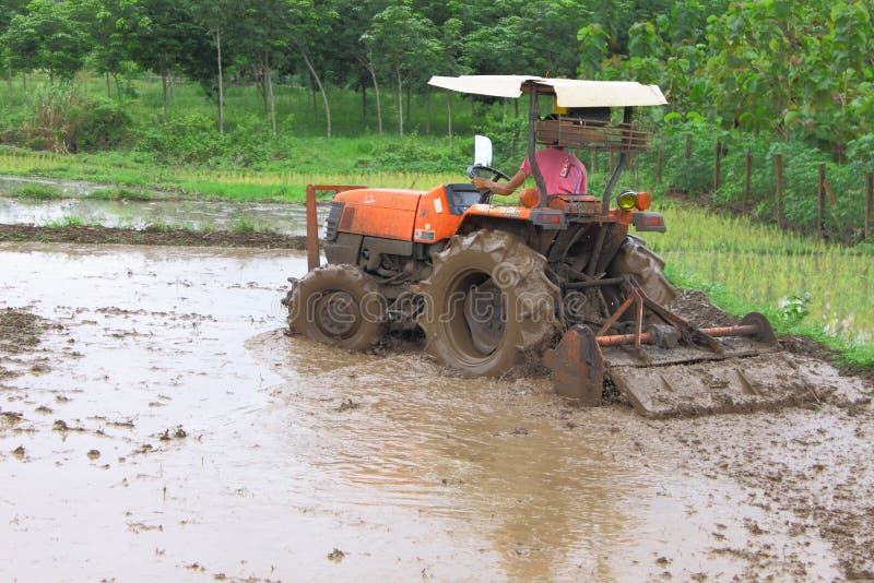 Mechanization of Thai farmer for rice cultivation