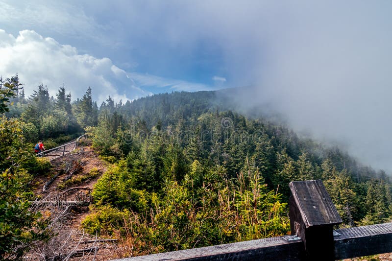 Med tanke på babiabergen täckt med morgondimma beskid zywiecki bergspoland royaltyfri bild