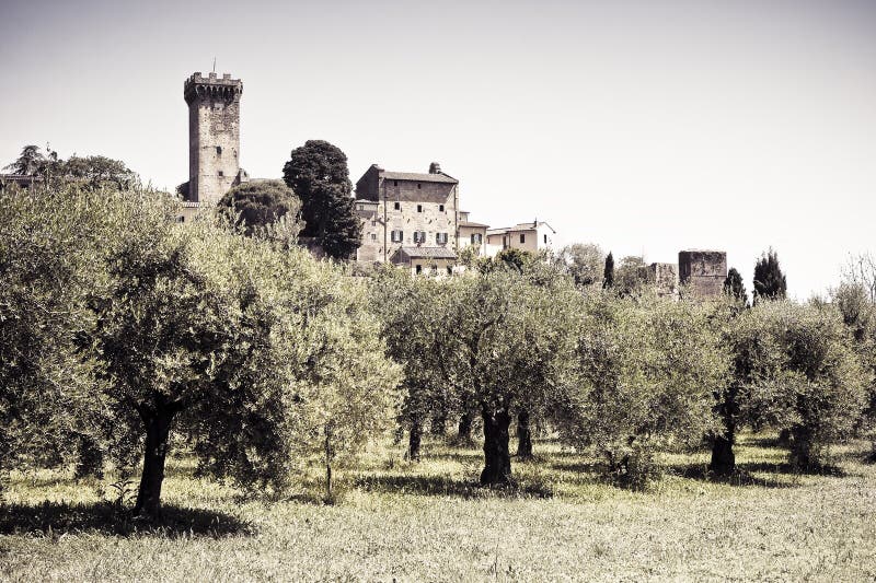 Medeltida citadell av Vicopisano Italien-Tuscany-Pisa royaltyfri foto Medeltida citadell av Vicopisano Italien-Tuscany-Pisa royaltyfri foto
