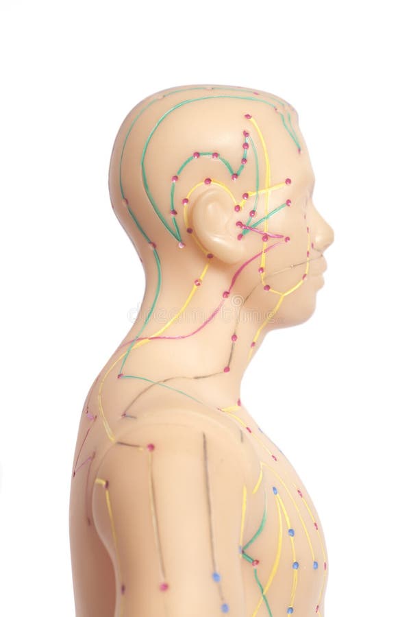 Medical Acupuncture Model of Human Stock Image Image of care, figure