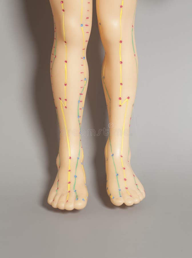 Medical Acupuncture Model of Human Feet Stock Photo Image of dummy