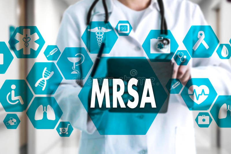 535 Aureus Staphylococcus Photos - Free & Royalty-Free Stock Photos