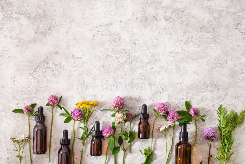 Medical flowers herbs essential oils in bottles. alternative medicine. clover milfoil tansy rosebay