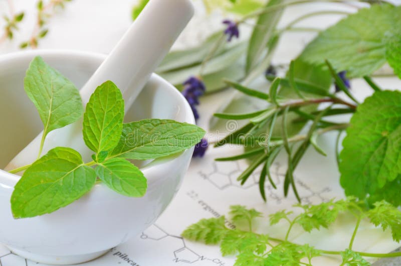 Medical herbs stock photo. Image of chemistry, sage, leaf 30864830