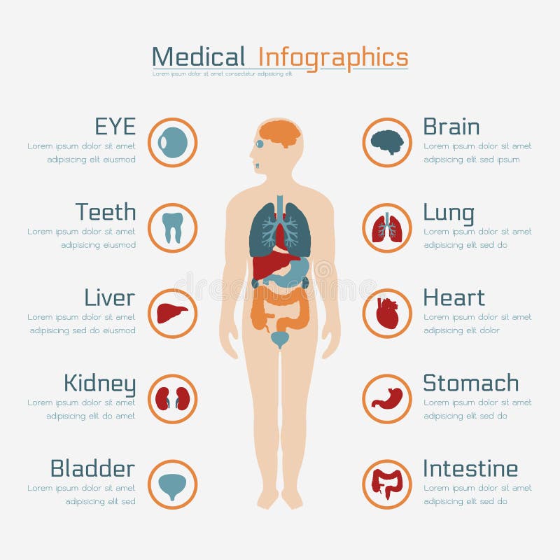 Healthcare and Medical Infographic Stock Vector - Illustration of ...