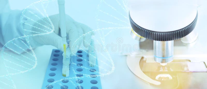Medical laboratory background, technician researcher`s hand in latex glove pipetting human blood serum samples for genetic DNA