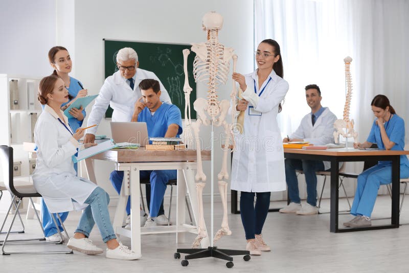 Medical Students and Professor Studying Skeleton Anatomy in Classroom Stock Image Image of