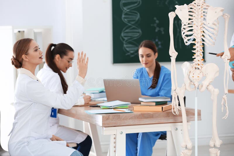 Medical Students Studying Human Skeleton Anatomy Stock Image - Image of ...