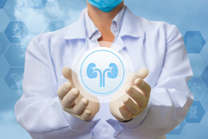Medical worker shows the kidney icon on a blue background. Medical worker shows the kidney icon on a blue background.
