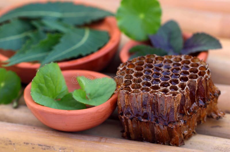 Medicinal herbs with honey comb royalty free stock photos Medicinal herbs with honey comb royalty free stock photos