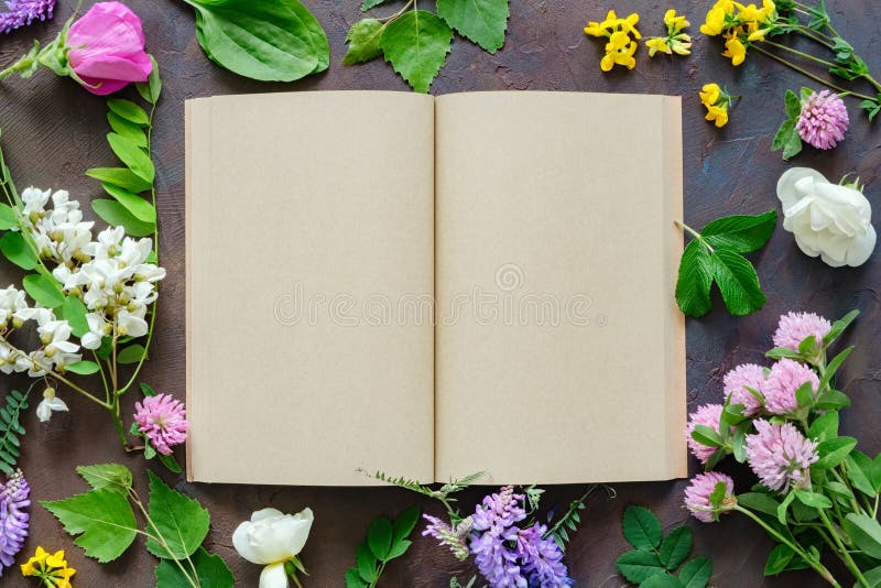 Medicinal herbs and plants, open blank paper book. Top view