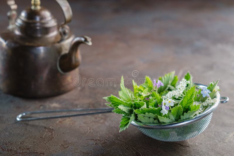 Medicinal Herbs in Tea Infuser and Vintage Copper Tea Kettle. Herbal Medicine Stock Image