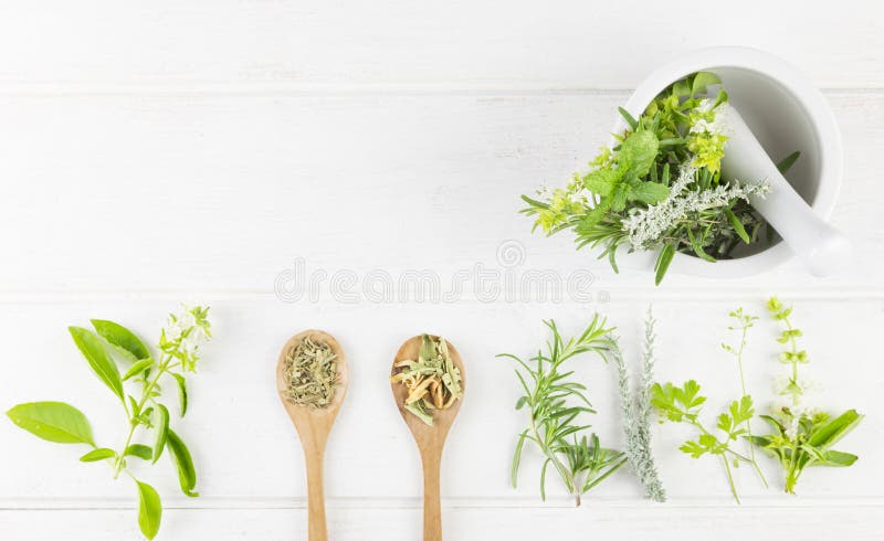 Medicinal Herbs on White Background. Top View Stock Photo - Image of ...