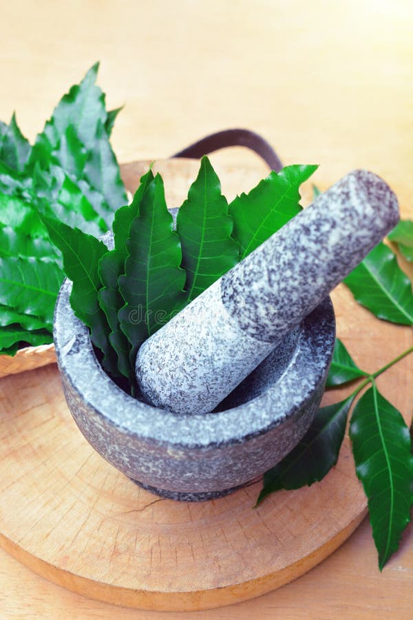 Medicinal neem leaves in mortar and pestle with neem leaves in bamboo box on wooden background. herb in Thailand.