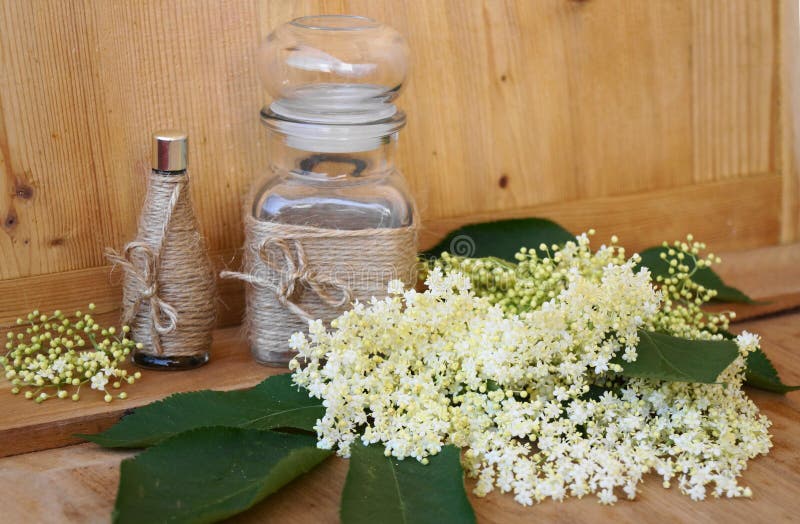 Medicinal Plant Creeping Buttercup Stock Photo Image of botanical
