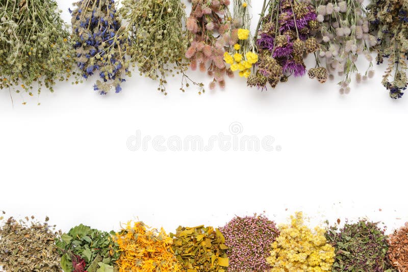 Medicinal plants bunches and piles of medicinal herbs on white background. Top view. Alternative medicine. Copy space