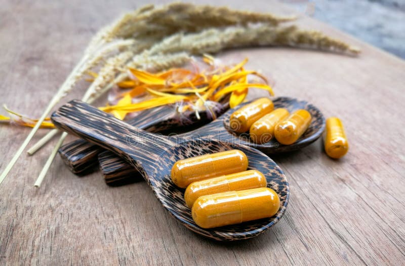 Medicine Herb from Nature Yellow Stock Image Image of herb