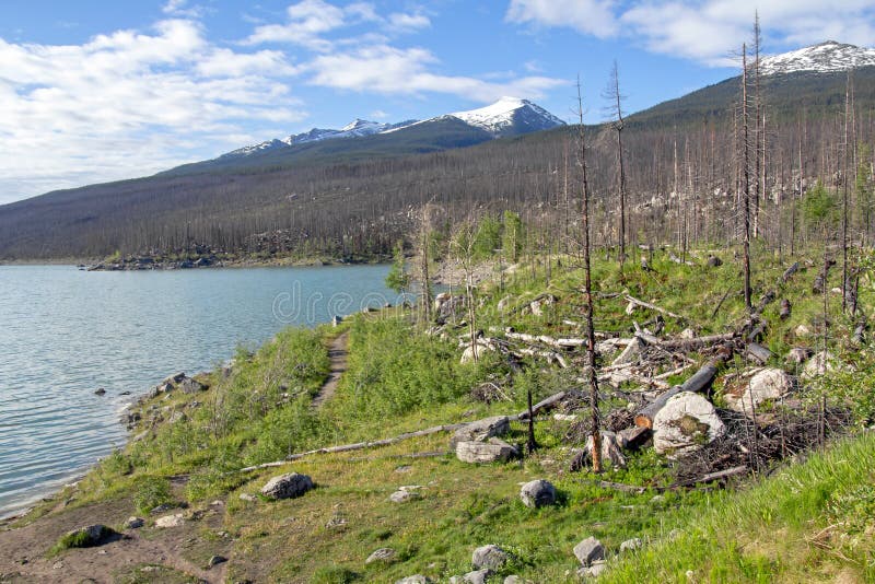 Medicine Lake, Jasper National Park, Canadian Rockies, Kanada obrazy stock Medicine Lake, Jasper National Park, Canadian Rockies, Kanada obrazy stock