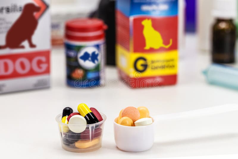 Medicine for Veterinary Use, Pills and Capsules for Pets and Animals