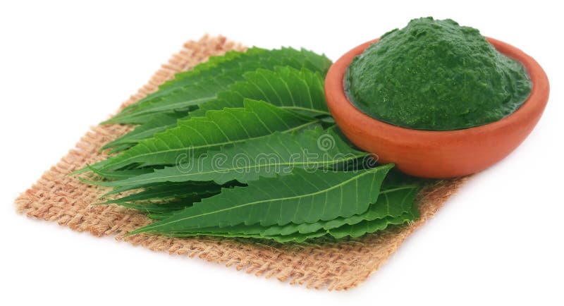 Medicinal neem leaves with ground paste over white background. Medicinal neem leaves with ground paste over white background