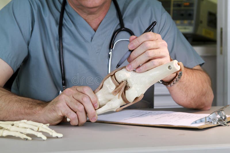 Medico che studia un giunto di ginocchio