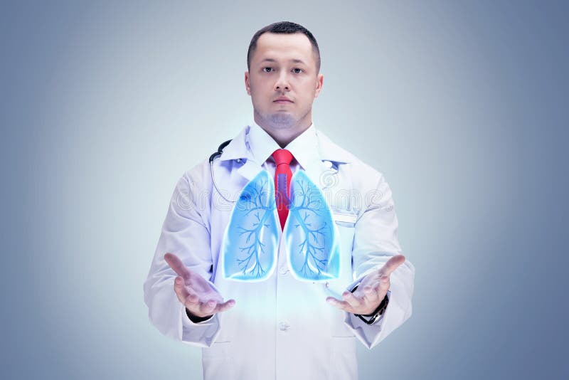 Medico con lo stetoscopio ed i polmoni sulle mani Fondo grigio Di alta risoluzione fotografia stock libera da diritti Medico con lo stetoscopio ed i polmoni sulle mani Fondo grigio Di alta risoluzione fotografia stock libera da diritti