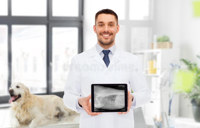 Medico veterinario con animali sul tablet