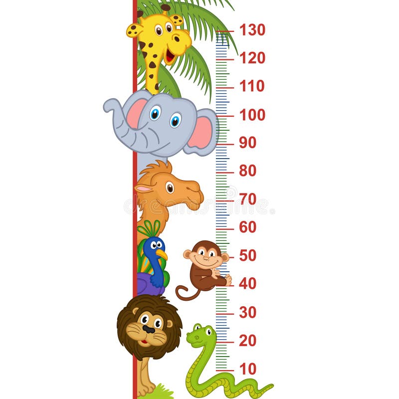 Medida animal da altura do jardim zoológico
