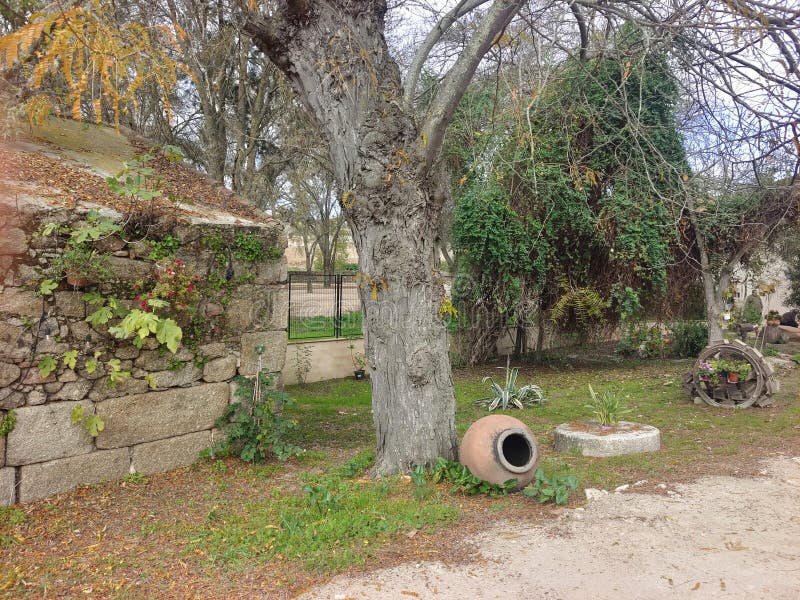 Medieval brug stock foto