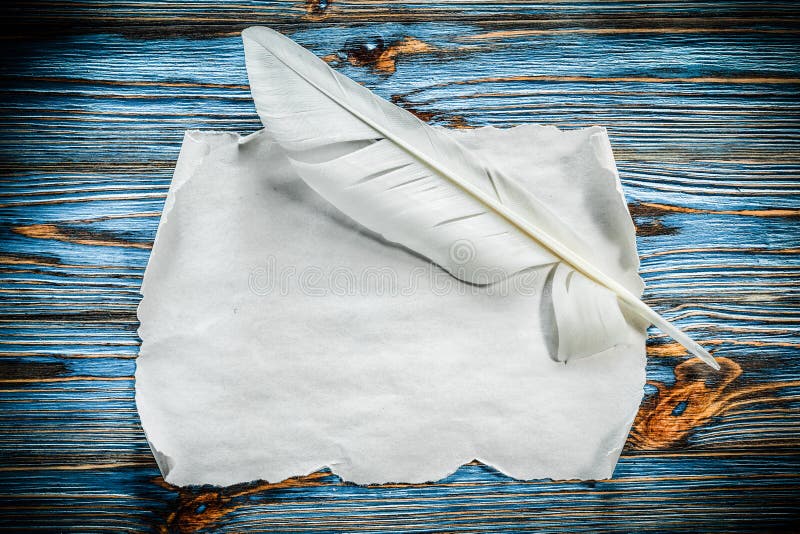 Medieval paper scroll plume on blue wood board stock image