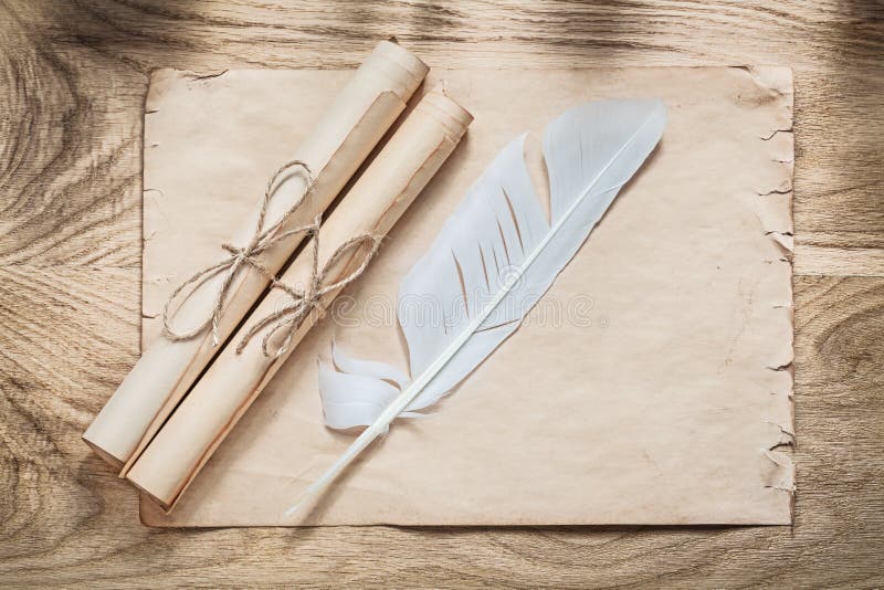 Medieval parchment paper scrolls feather on wooden board royalty free stock images