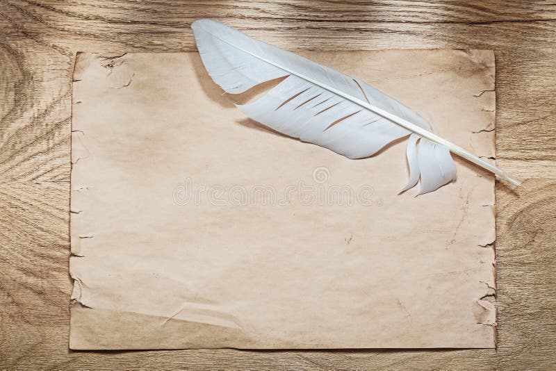 Medieval parchment plume on wooden board stock photography