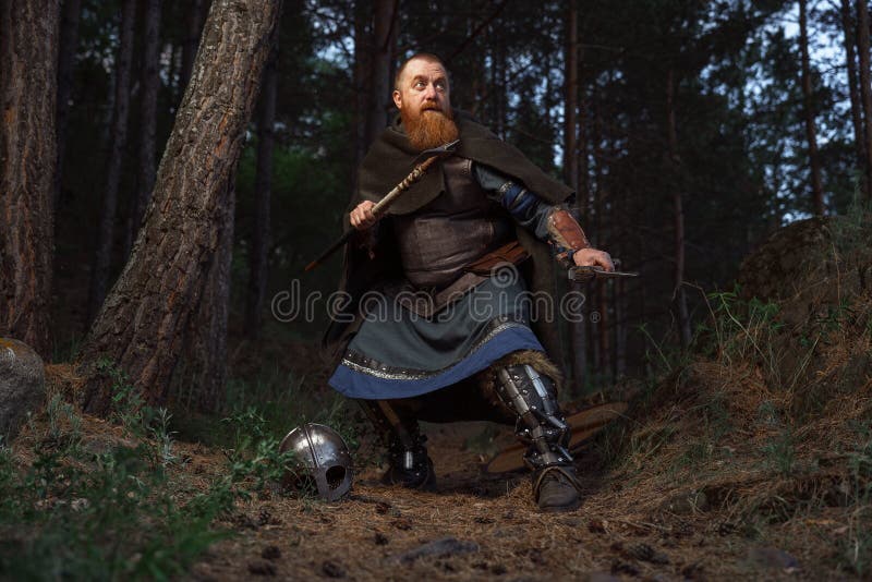 Medieval red-haired viking warrior with beard with two axes is preparing to attack on forest path. Ancient pagan celtic images stock images, royalty-free photos and pictures