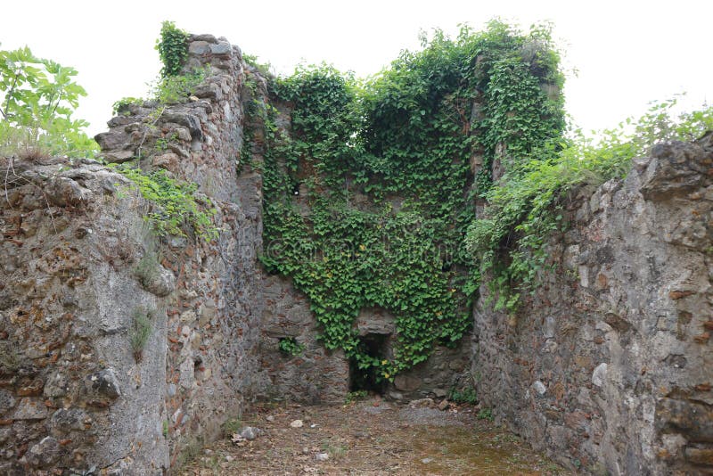 Medieval ruins of Mystras covered by green plants