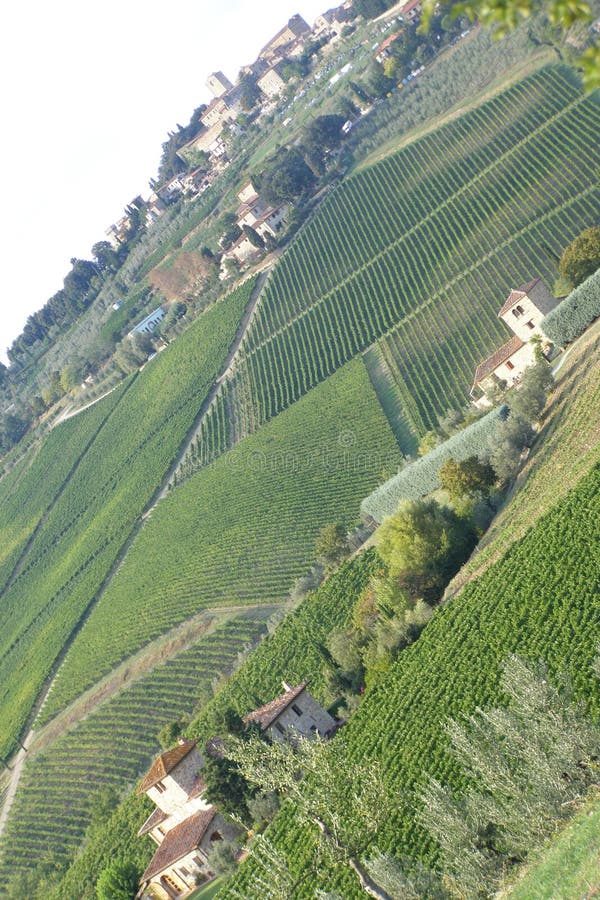 Medieval town and vineyards