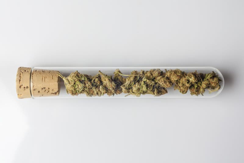 Medische cannabis in reageerbuis op wit van hierboven stock afbeeldingen Medische cannabis in reageerbuis op wit van hierboven stock afbeeldingen