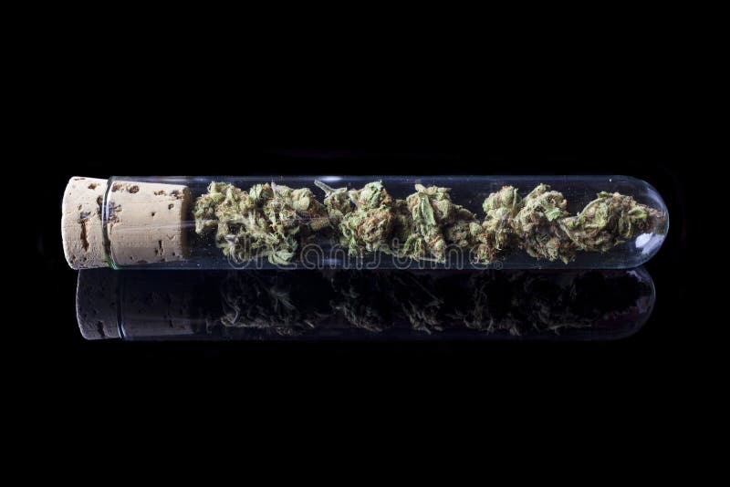 Medische cannabis in reageerbuis op zwarte van kant royalty-vrije stock foto's Medische cannabis in reageerbuis op zwarte van kant royalty-vrije stock foto's