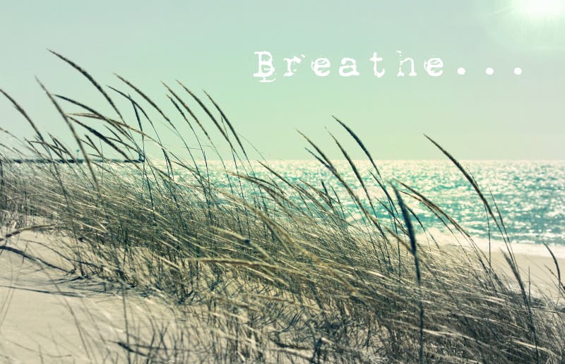 Meditatie en relaxatie. ademen. nog steeds. kalmeren. ontspannen. vrede.