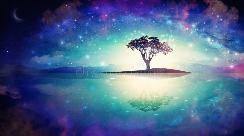 Meditatieboom onder sterren waterspiegelboom van knowledge kosmos universum sky