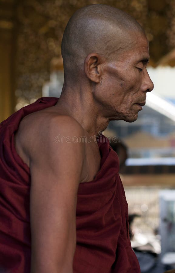 Meditating Burmese Buddhist monk