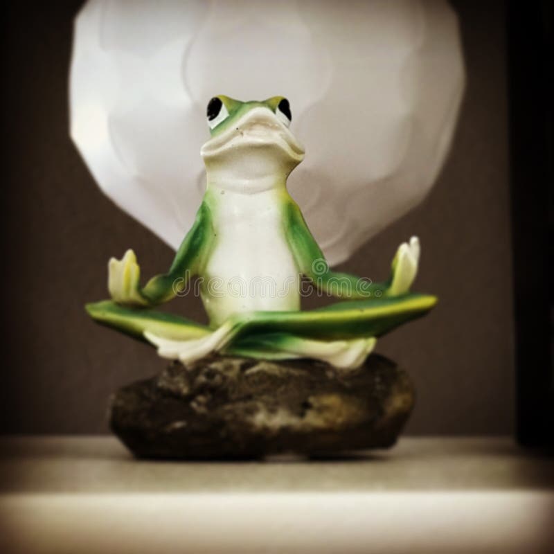 333 Zen Frog Stock Photos Free & RoyaltyFree Stock Photos from